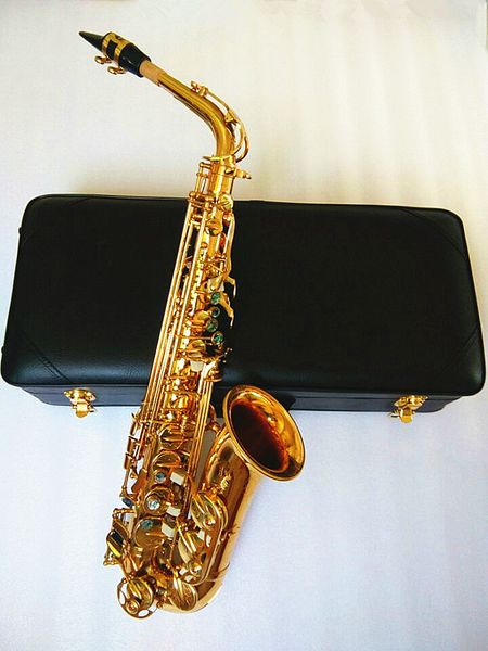 upgrade brand new saxophone exquisite new orchestral instrument eb flat alto and hard box
upgrade brand new saxophone exquisite new orchestral instrument eb flat alto and hard box