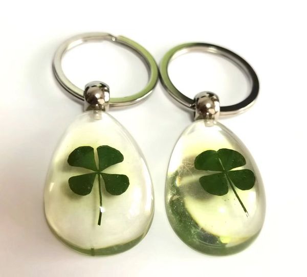 12 pcs fashion key ring real four leaf clover style shamrock keychain vogue jewelry, Slivery;golden
12 pcs fashion key ring real four leaf clover style shamrock keychain vogue jewelry, Slivery;golden