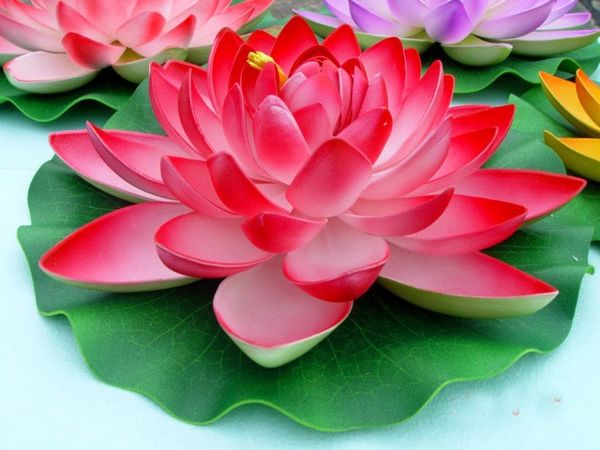 28см искусственные цветы лотоса водяная лилия свадебные украшения 8 цветов поделки цветы для украшения сада
28см искусственные цветы лотоса водяная лилия свадебные украшения 8 цветов поделки цветы для украшения сада