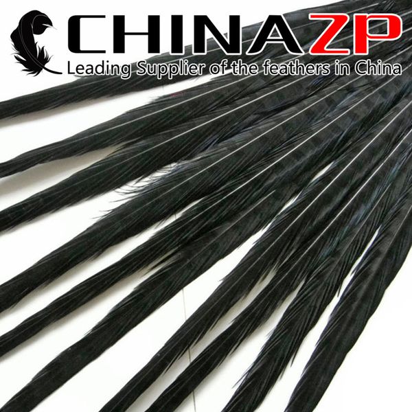 CHINAZP Crafts Factory 50pcs/lot 50~55cm(20~22inch) Length Selected Top Quality Dyed Black Natural Ringneck Pheasant Tail Feathers 
CHINAZP Crafts Factory 50pcs/lot 50~55cm(20~22inch) Length Selected Top Quality Dyed Black Natural Ringneck Pheasant Tail Feathers