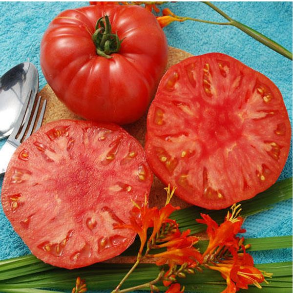 

Супер-доступный! 100 SEEDS - "GIANT SYRIAN" Семена томатов фруктовых овощей