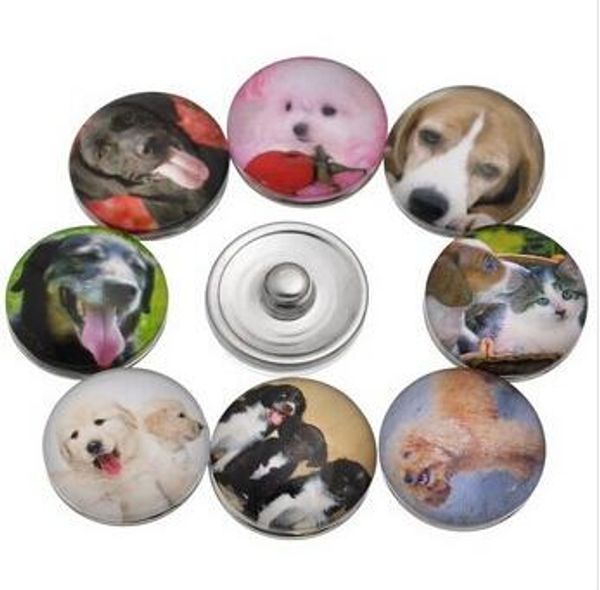 wholesale 60pcs lot mix styles new lovely dog animal 18mm snap button glass ginger snap button charm jewelry
wholesale 60pcs lot mix styles new lovely dog animal 18mm snap button glass ginger snap button charm jewelry