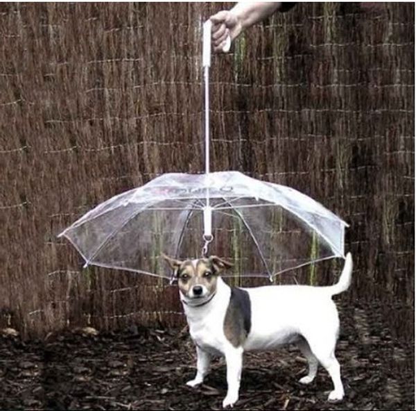 Прохладный Зоотовары полезные прозрачный PE Pet зонтик маленькая собака зонтик дож
Прохладный Зоотовары полезные прозрачный PE Pet зонтик маленькая собака зонтик дож