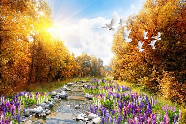 custom p wallpaper 3d beautiful lavender 3d landscape wallpaper for walls roll
custom p wallpaper 3d beautiful lavender 3d landscape wallpaper for walls roll