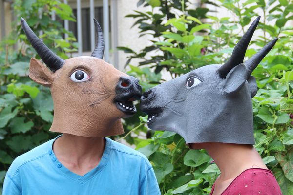 halloween party cosplay creepy cow mask head halloween mask, cattle mask animal full head bull mask in stock
halloween party cosplay creepy cow mask head halloween mask, cattle mask animal full head bull mask in stock