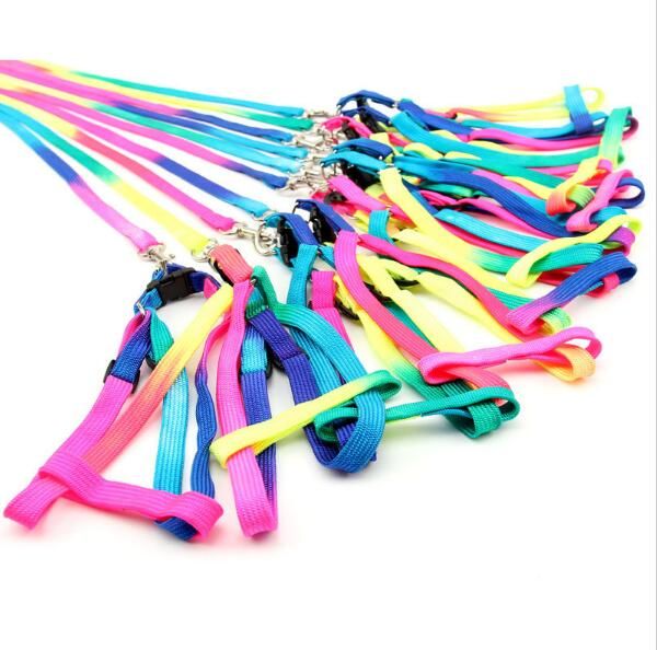 fashion dogs collars strengthen colorful traction rope pet dog harness rope chest strap poodle pomeranian chest rope harness
fashion dogs collars strengthen colorful traction rope pet dog harness rope chest strap poodle pomeranian chest rope harness