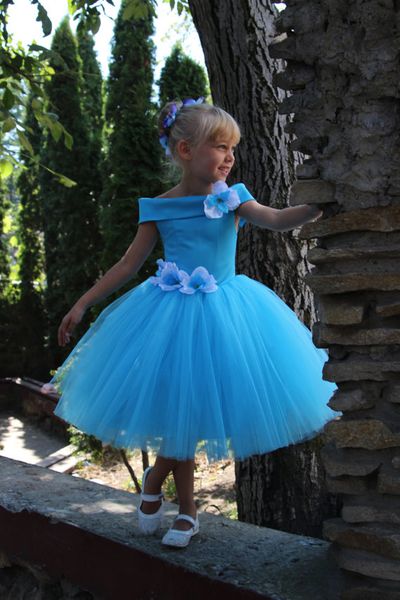 2021 blue tulle girls short cupcake toddler pageant dresses girls size 12 party flower girl dresses, White;red
2021 blue tulle girls short cupcake toddler pageant dresses girls size 12 party flower girl dresses, White;red