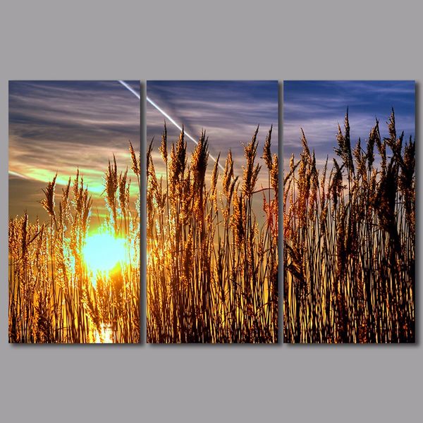 3pcs/set landscape decoration sun wall art pictures sunrise mountains gold wheat field canvas painting for living room unframed
3pcs/set landscape decoration sun wall art pictures sunrise mountains gold wheat field canvas painting for living room unframed