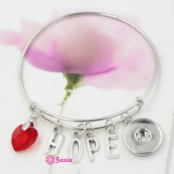 new arrival interchangeable red crystal heart initial letter hope charms wire expandable snaps bangles bracelets for women, Golden;silver
new arrival interchangeable red crystal heart initial letter hope charms wire expandable snaps bangles bracelets for women, Golden;silver