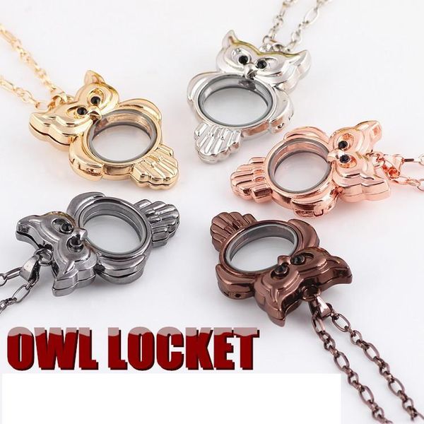 10pcs wholesale 2016 women's 45x33x12mm diy magnet closure owl glass locket for floating charms 5 colors, Silver
10pcs wholesale 2016 women's 45x33x12mm diy magnet closure owl glass locket for floating charms 5 colors, Silver