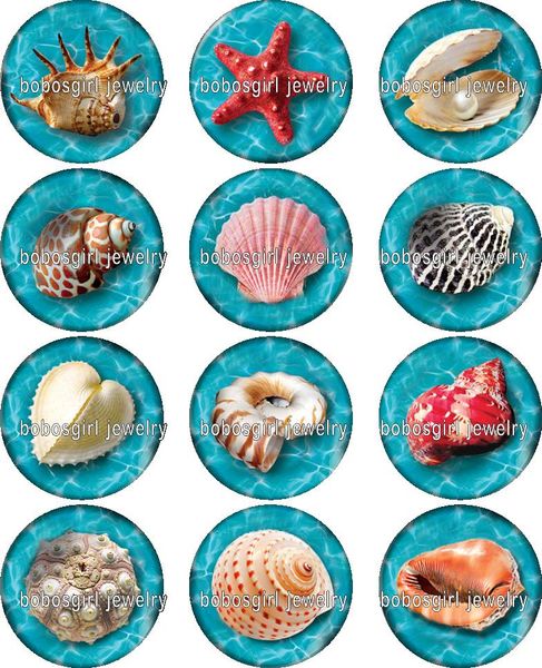 conch shell glass snap button jewelry charm popper for snap jewelry good quality 12pcs / lot gl339 jewelry making, Crystal
conch shell glass snap button jewelry charm popper for snap jewelry good quality 12pcs / lot gl339 jewelry making, Crystal