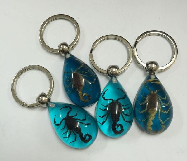 10 pcs insect black gold scorpion blue keychain promotion gift, Slivery;golden 
10 pcs insect black gold scorpion blue keychain promotion gift, Slivery;golden