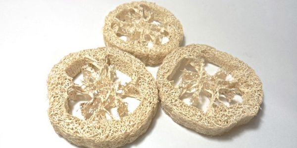 wholesale- 1cm thick 50pcs/lotnatural loofah luffa loofa slices,handmade diy customize soap tools,cleanner,sponge scrubber, soap holder
wholesale- 1cm thick 50pcs/lotnatural loofah luffa loofa slices,handmade diy customize soap tools,cleanner,sponge scrubber, soap holder