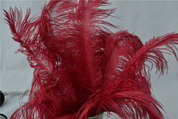 wholesale 100 pcs burgundy wine red ostrich feather plumes for wedding centerpiece wedding decoraction party event supply decor
wholesale 100 pcs burgundy wine red ostrich feather plumes for wedding centerpiece wedding decoraction party event supply decor