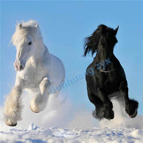 diy diamond painting cross stitch animal horse 070 crystal full round drill set unfinished diamond mosaic room ing
diy diamond painting cross stitch animal horse 070 crystal full round drill set unfinished diamond mosaic room ing