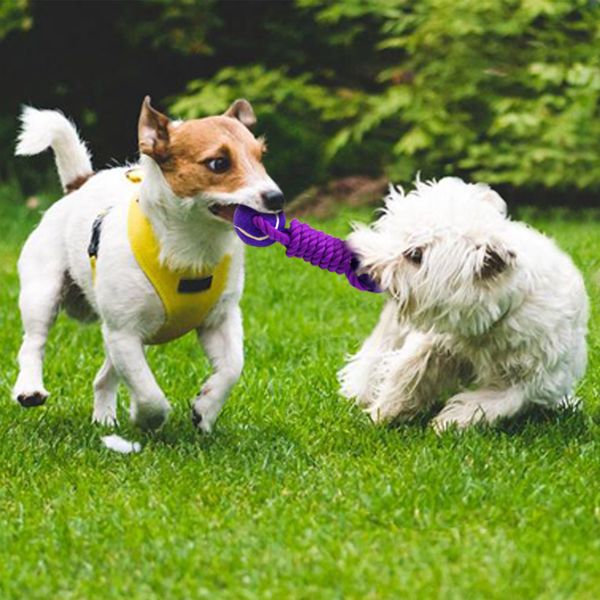 игрушки для домашних животных balls dog ball rope tug toy 3 цветные теннисные собаки, играющие обучающие игрушки для жевания домашних животн
игрушки для домашних животных balls dog ball rope tug toy 3 цветные теннисные собаки, играющие обучающие игрушки для жевания домашних животн