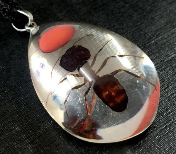 12pc wholesale ant red clear drop fashion insect pendants yy003, Silver
12pc wholesale ant red clear drop fashion insect pendants yy003, Silver