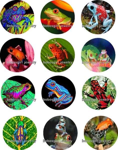 frog glass snap button jewelry charm popper for snap jewelry good quality 12pcs / lot gl273 jewelry making supplier diy, Crystal
frog glass snap button jewelry charm popper for snap jewelry good quality 12pcs / lot gl273 jewelry making supplier diy, Crystal