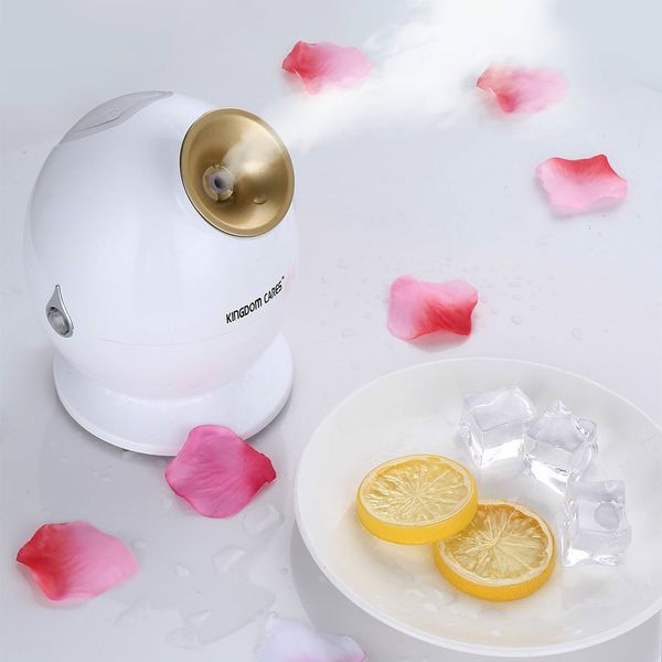 elitelitzia etkd233a deep cleaning facial steamer moisturizing multi-functional integrated nanometer water spray humidifier home
elitelitzia etkd233a deep cleaning facial steamer moisturizing multi-functional integrated nanometer water spray humidifier home