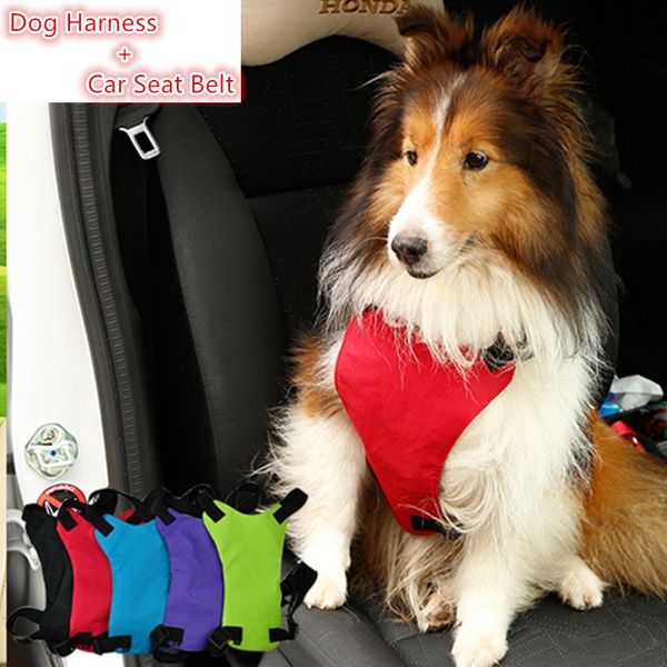 pet supplies series dog accessories travel safety dog harness + car nylon seat belt 3 sizes 5 colors
pet supplies series dog accessories travel safety dog harness + car nylon seat belt 3 sizes 5 colors