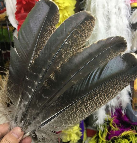wholesale beautiful precious wild turkey tail feathers 10-12inches / 25-30cm (many sizes for you to choose
wholesale beautiful precious wild turkey tail feathers 10-12inches / 25-30cm (many sizes for you to choose