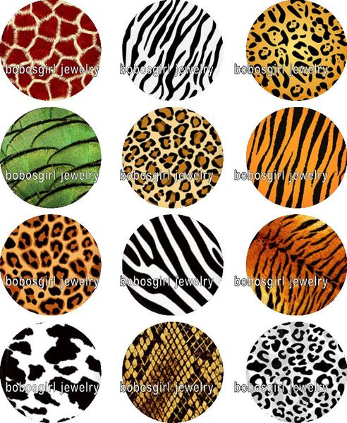 glass snap button charm popper for snap jewelry good quality 12pcs / lot gl363 jewelry making, Crystal
glass snap button charm popper for snap jewelry good quality 12pcs / lot gl363 jewelry making, Crystal