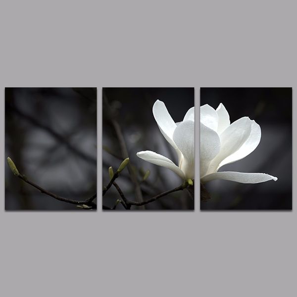 modern still life 3 pcs white flower living room decoration magnolia canvas printed painting wall art home decor unframed
modern still life 3 pcs white flower living room decoration magnolia canvas printed painting wall art home decor unframed