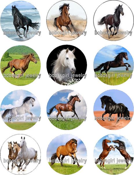 horse glass snap button jewelry charm popper for snap jewelry good quality 12pcs / lot gl322 jewelry making, Crystal
horse glass snap button jewelry charm popper for snap jewelry good quality 12pcs / lot gl322 jewelry making, Crystal