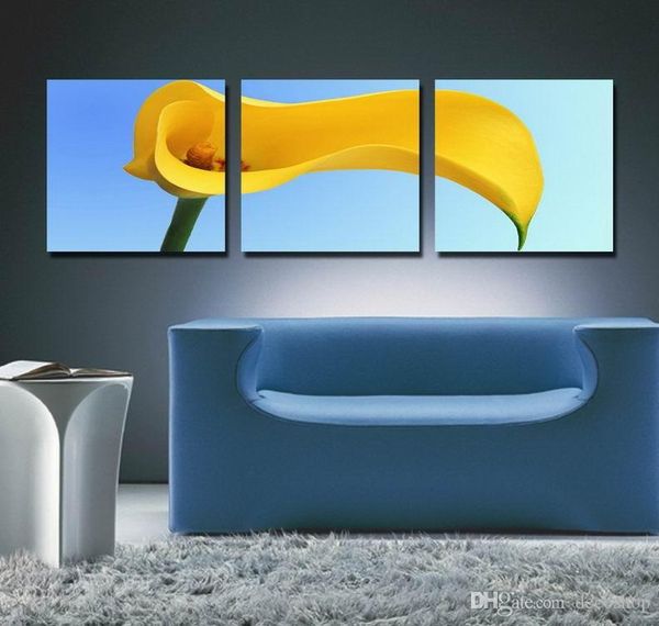 красивые общие callalily цветок живопись giclee печать на холсте домашнего декора стены искусства set30288
красивые общие callalily цветок живопись giclee печать на холсте домашнего декора стены искусства set30288