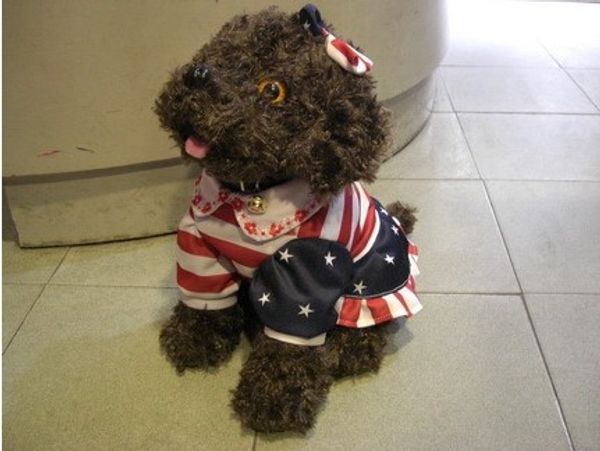 wholesale 1pc l size style standing posture colorful plush pet dogs mannequin model position dog models for dog clothing gift toy c335, Black
wholesale 1pc l size style standing posture colorful plush pet dogs mannequin model position dog models for dog clothing gift toy c335, Black