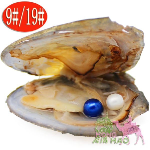 november coupon most poplar 6-7mm wholesale love wish individual wrapped akoya oyster freshwater pearl gifts surprise
november coupon most poplar 6-7mm wholesale love wish individual wrapped akoya oyster freshwater pearl gifts surprise