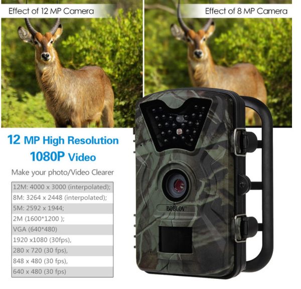 trail camera hunting game camera ct008 infrared night version, 2.4 inch lcd screen, pir sensors, ip54 spray water protected design out242
trail camera hunting game camera ct008 infrared night version, 2.4 inch lcd screen, pir sensors, ip54 spray water protected design out242