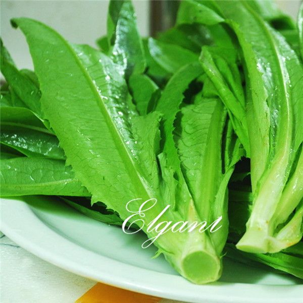 Sementes elgant
Sementes elgant