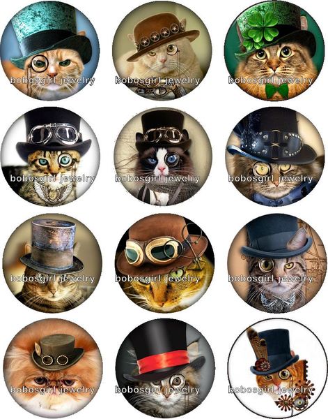 Free shipping punk cats Snap button Jewelry Charm Popper for Snap Jewelry good quality 12pcs / lot Gl293 jewelry making supplier DIY
Free shipping punk cats Snap button Jewelry Charm Popper for Snap Jewelry good quality 12pcs / lot Gl293 jewelry making supplier DIY