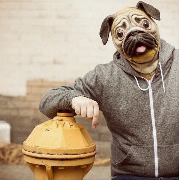 halloween party cosplay pug dog mask head halloween costume theater prop novelty latex rubber ing
halloween party cosplay pug dog mask head halloween costume theater prop novelty latex rubber ing