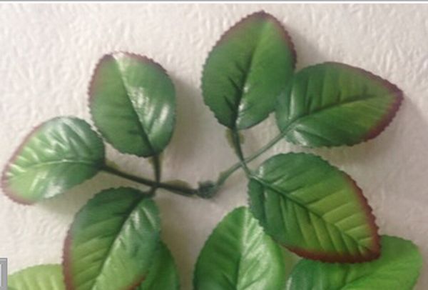 Flores decorativas & Coroas fashionstyle66
Flores decorativas & Coroas fashionstyle66