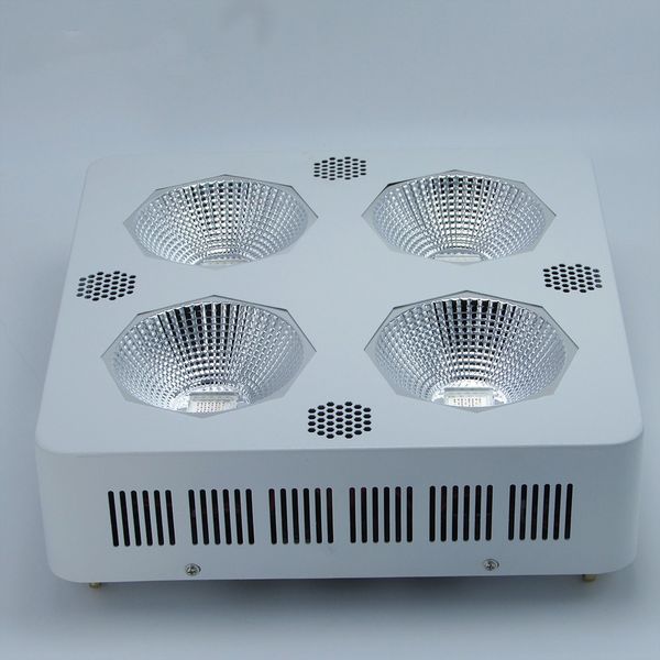 super bright 800w 8 band full spectrum cob led grow lights for hydroponics cultivation flower quiet fans and good cooling
super bright 800w 8 band full spectrum cob led grow lights for hydroponics cultivation flower quiet fans and good cooling