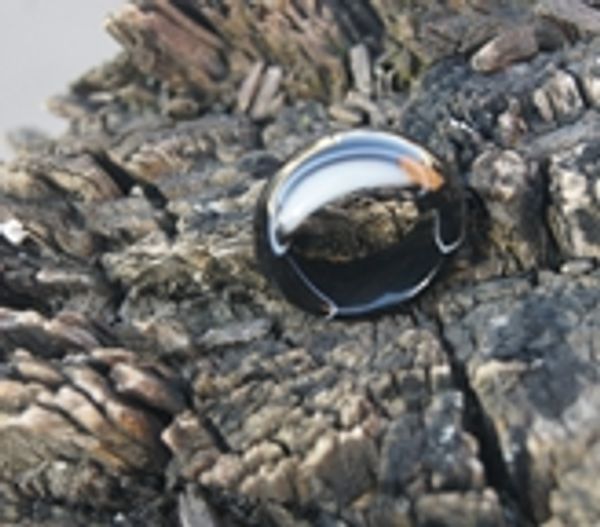 manual sculpture natural black and blue and white agate rings (inner diameter) 18 to 20 mm, Silver
manual sculpture natural black and blue and white agate rings (inner diameter) 18 to 20 mm, Silver