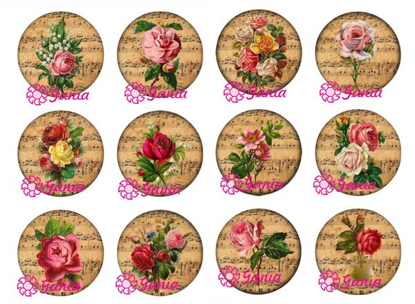 new arrival diy 18mm cabochon glass stone buttons cabochon vintage music rose buttons for snap jewelry bracelet necklace ring earrings
new arrival diy 18mm cabochon glass stone buttons cabochon vintage music rose buttons for snap jewelry bracelet necklace ring earrings