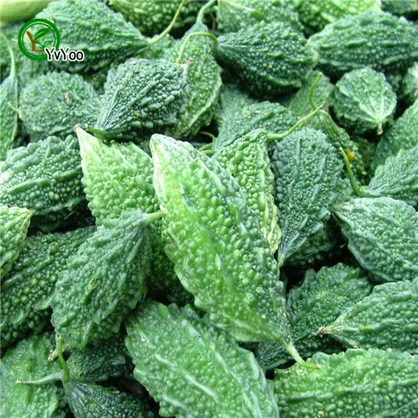 Семена Momordica charantia, горькая тыква, кваш органические семена овощей 20 шт. S064
Семена Momordica charantia, горькая тыква, кваш органические семена овощей 20 шт. S064