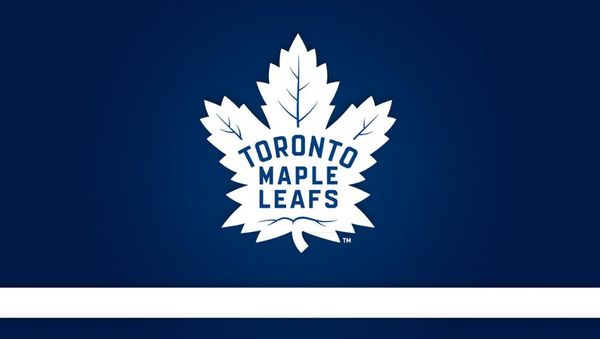 Toronto Maple Leafs Flags Hockey Footbacll Baseball Team Stanley Cup Champions Flags 150*90CM Outdoor Banner Flags National Polyester 3*5 FT
Toronto Maple Leafs Flags Hockey Footbacll Baseball Team Stanley Cup Champions Flags 150*90CM Outdoor Banner Flags National Polyester 3*5 FT