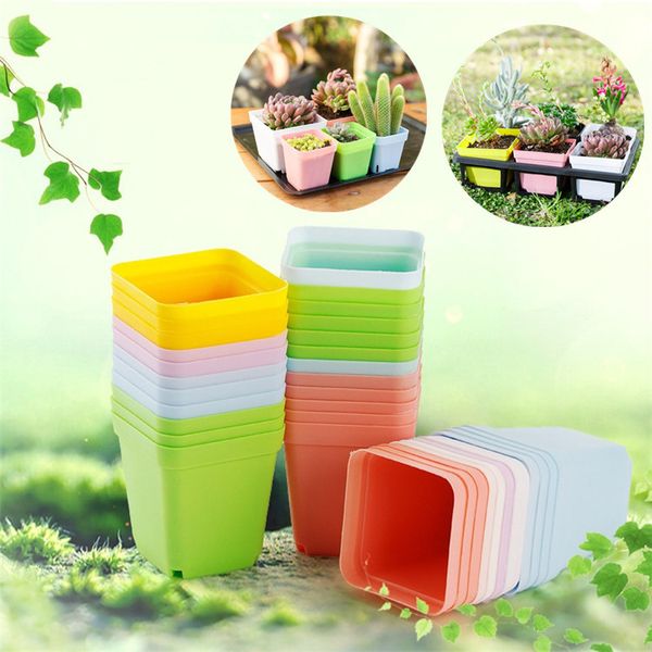 7 colors plant flowerpot fashion mini plastic flowerpot colourful square flowerpot home office decoration supplies ia653
7 colors plant flowerpot fashion mini plastic flowerpot colourful square flowerpot home office decoration supplies ia653