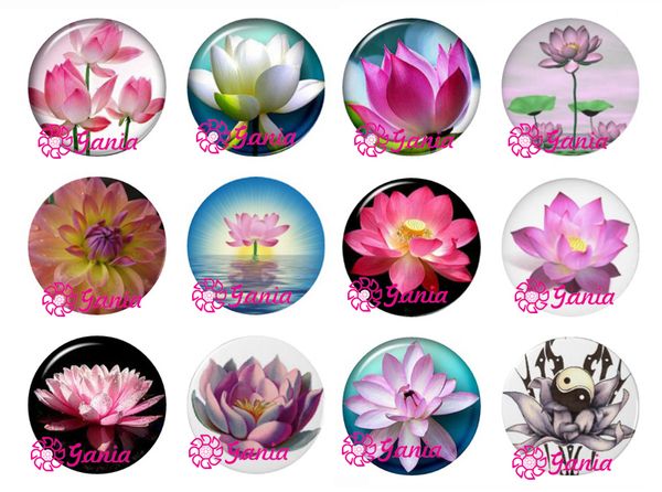 new arrival interchangeable 18mm cabochon glass stone buttons cabochon lotus flower buttons for snap jewelry bracelet necklace ring earrings
new arrival interchangeable 18mm cabochon glass stone buttons cabochon lotus flower buttons for snap jewelry bracelet necklace ring earrings