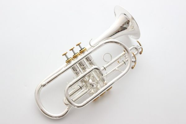 taiwan bach corneta cornet silver plated b flat bb professional trumpet musical instruments brass trompete trumpeter bugle
taiwan bach corneta cornet silver plated b flat bb professional trumpet musical instruments brass trompete trumpeter bugle