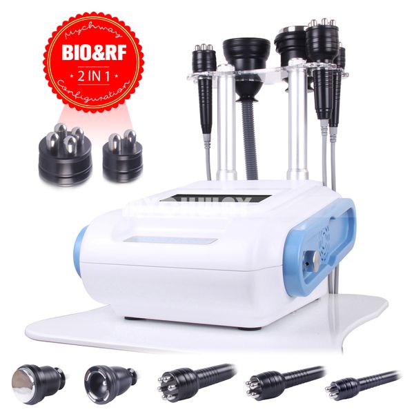 2015 new technology bio rf skin lifting cavitation slimming cellulite reduction beauty equipment
2015 new technology bio rf skin lifting cavitation slimming cellulite reduction beauty equipment