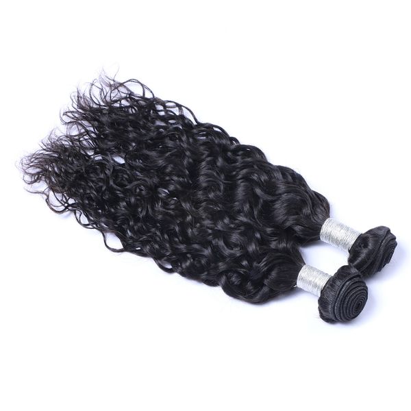Malaysian Virgin Human Hair Natural Water Wave Unprocessed Remy Hair Weaves Double Wefts 100g/Bundle 2bundle/lot Can be Dyed Bleached
