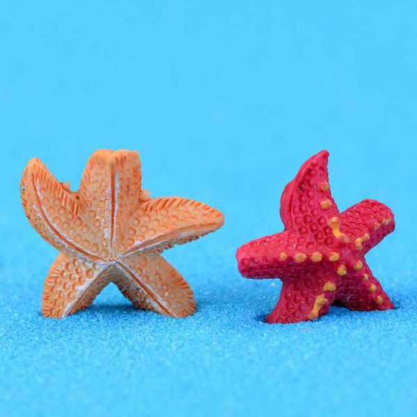 mediterranean pentagonal starfish small sea star diy material moss terrarium micro beach landscape aquarium ornaments fairy garden desktop
mediterranean pentagonal starfish small sea star diy material moss terrarium micro beach landscape aquarium ornaments fairy garden desktop