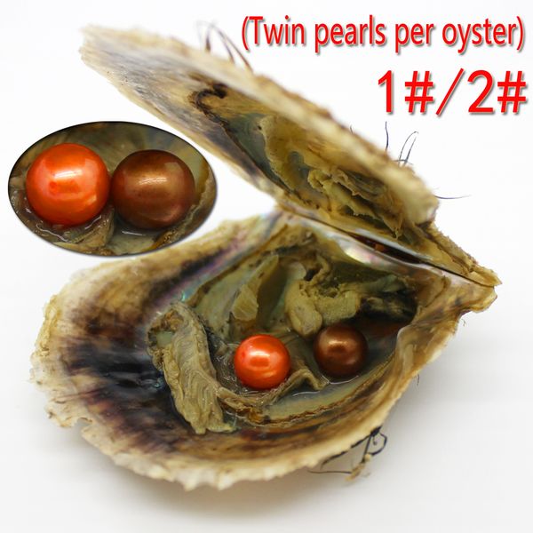 wholesale love pearls oysters 6-7mm round various color freshwater pearls in fresh oysters with vacuum packaging
wholesale love pearls oysters 6-7mm round various color freshwater pearls in fresh oysters with vacuum packaging