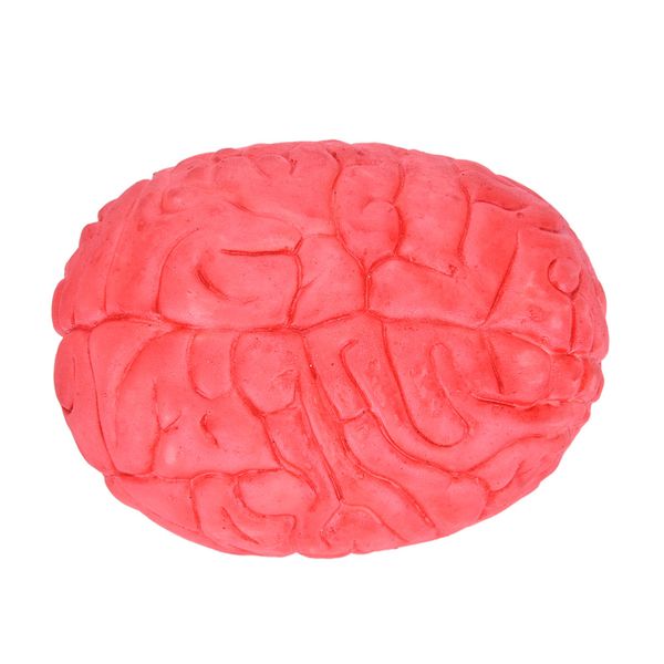 wholesale- prop rubber horror fake scary human brain haunted house organ body horror prop decor gag toys part halloween decoration
wholesale- prop rubber horror fake scary human brain haunted house organ body horror prop decor gag toys part halloween decoration