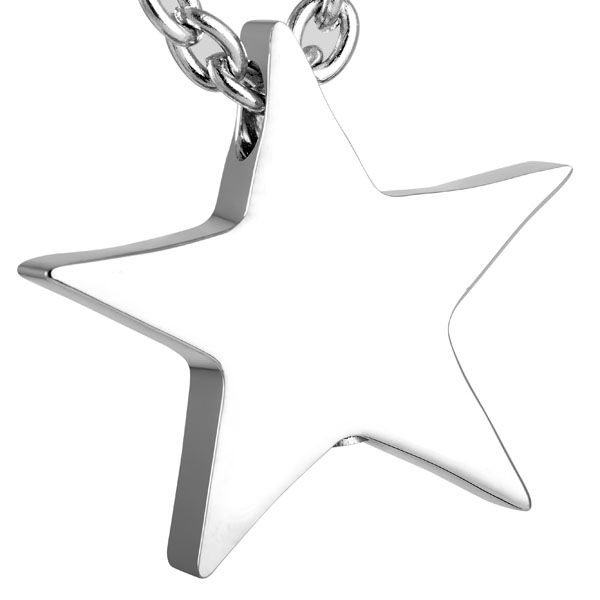 ijd8453 high polish star stainless steel cremation pendant necklace memory ashes keepsake funeral urn necklace, Silver
ijd8453 high polish star stainless steel cremation pendant necklace memory ashes keepsake funeral urn necklace, Silver